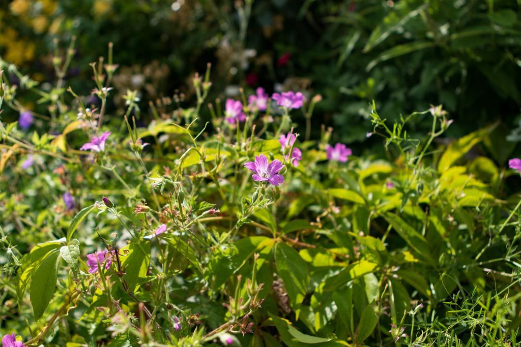 Mareham House Bed & Breakfast Sleaford Exteriér fotografie