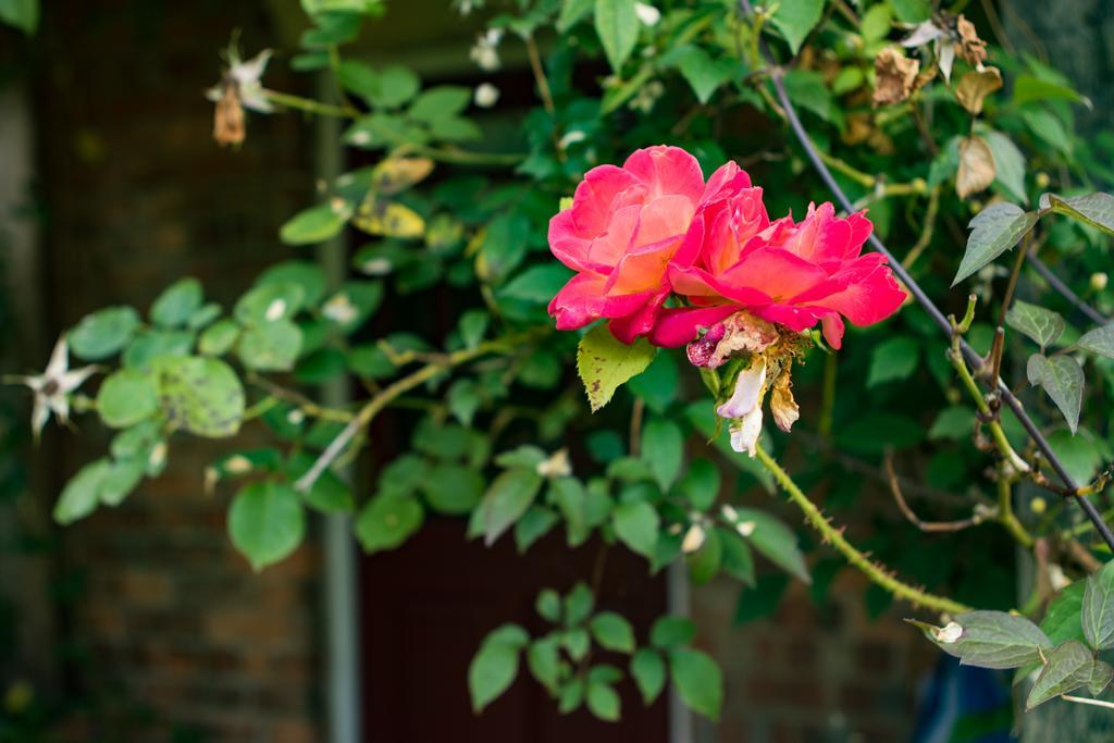 Mareham House Bed & Breakfast Sleaford Exteriér fotografie